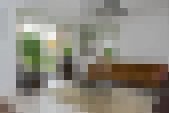 Broekerenk 26 't Loo Oldebroek thumbnail 11