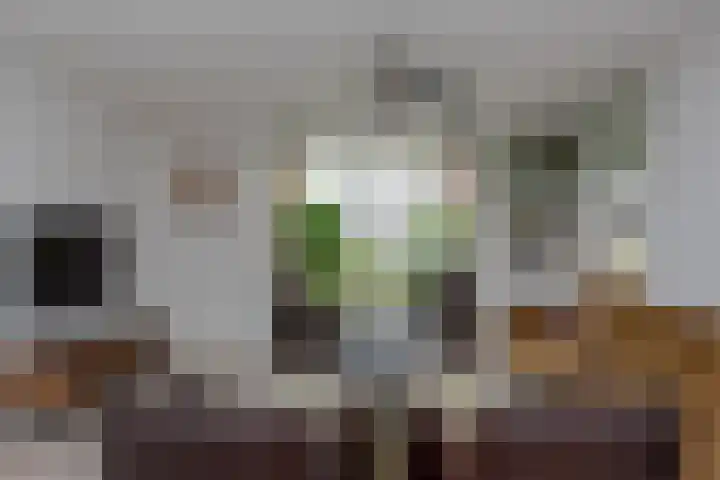 Broekerenk 26 't Loo Oldebroek thumbnail 12