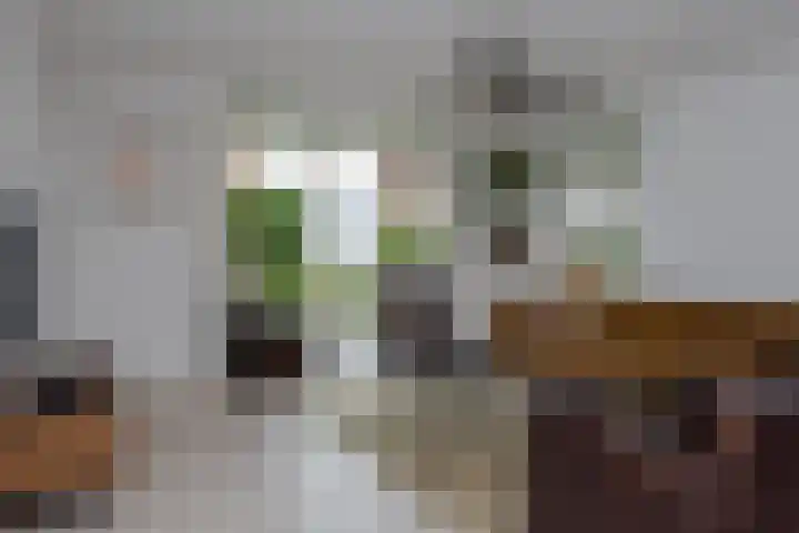 Broekerenk 26 't Loo Oldebroek thumbnail 13