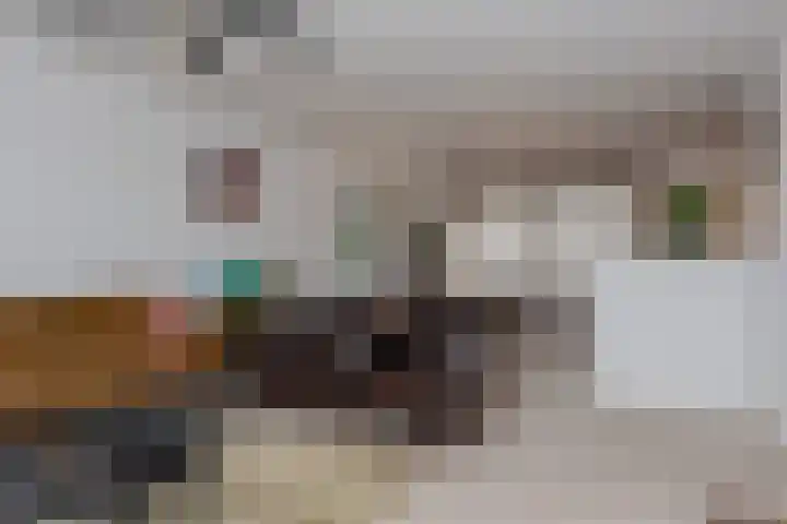 Broekerenk 26 't Loo Oldebroek thumbnail 15
