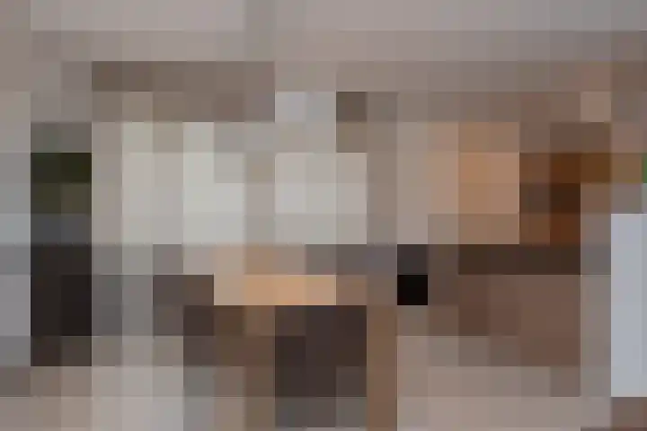 Broekerenk 26 't Loo Oldebroek thumbnail 17