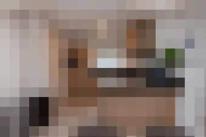 Broekerenk 26 't Loo Oldebroek thumbnail 18