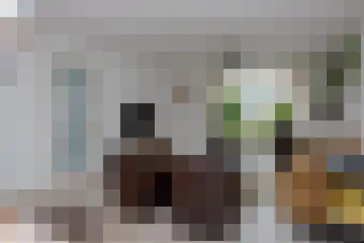 Broekerenk 26 't Loo Oldebroek thumbnail 19