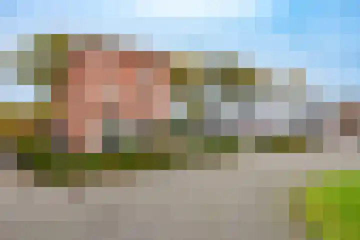Broekerenk 26 't Loo Oldebroek foto 2