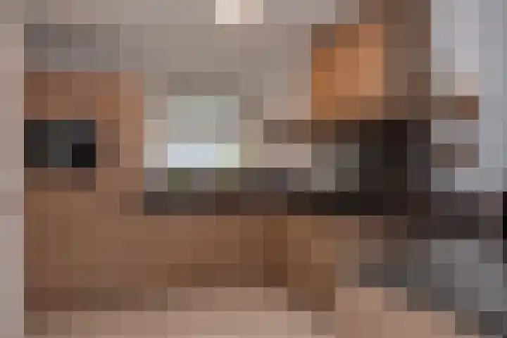 Broekerenk 26 't Loo Oldebroek thumbnail 20
