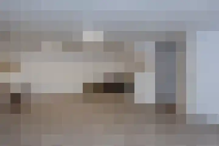 Broekerenk 26 't Loo Oldebroek thumbnail 27
