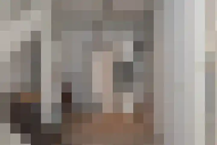 Broekerenk 26 't Loo Oldebroek thumbnail 28
