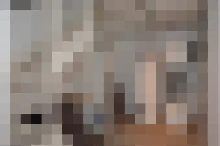 Broekerenk 26 't Loo Oldebroek thumbnail 29