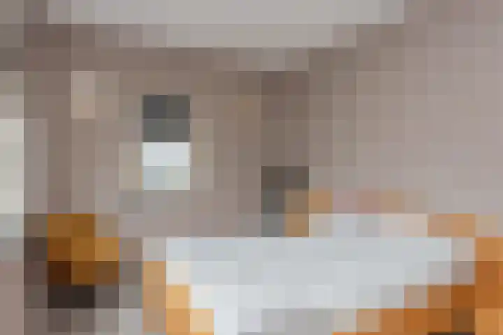 Broekerenk 26 't Loo Oldebroek thumbnail 31