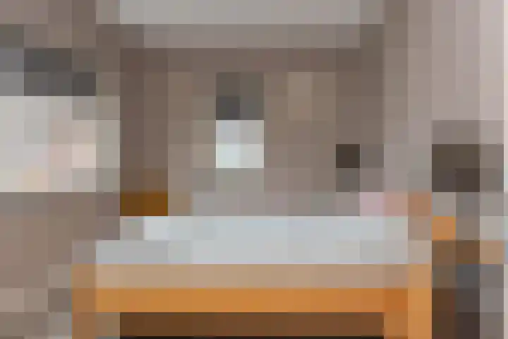 Broekerenk 26 't Loo Oldebroek thumbnail 32