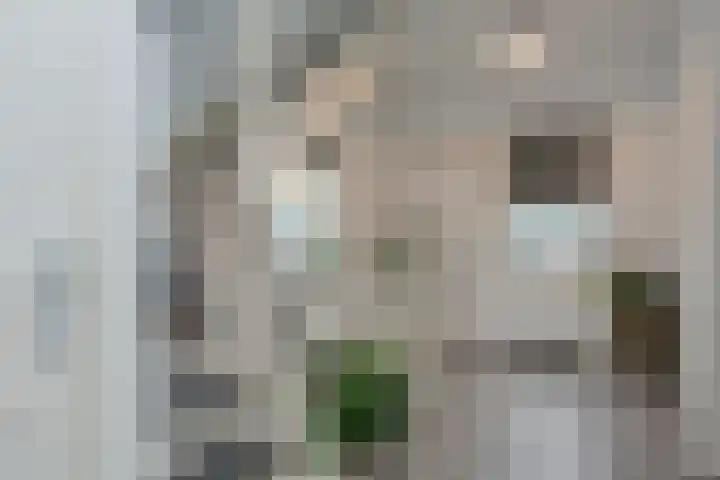 Broekerenk 26 't Loo Oldebroek thumbnail 34