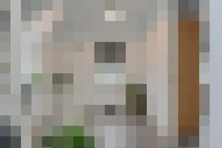 Broekerenk 26 't Loo Oldebroek thumbnail 35