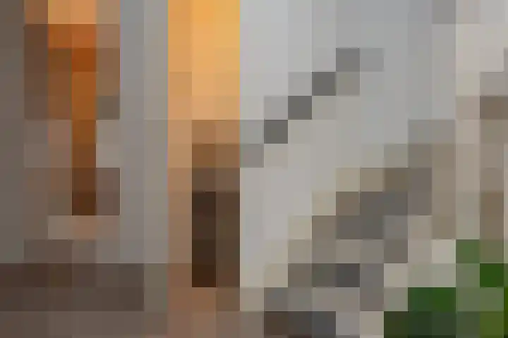 Broekerenk 26 't Loo Oldebroek thumbnail 36