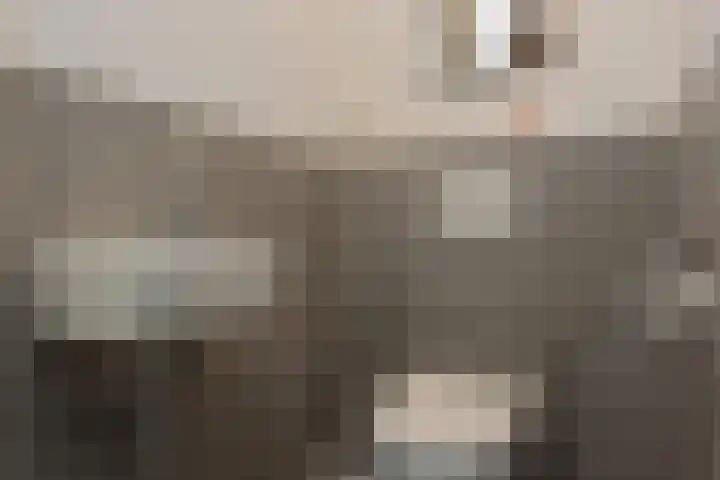 Broekerenk 26 't Loo Oldebroek thumbnail 37