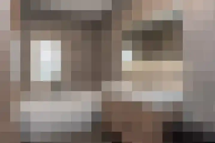 Broekerenk 26 't Loo Oldebroek thumbnail 42