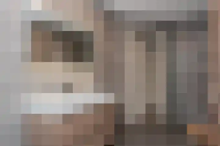 Broekerenk 26 't Loo Oldebroek thumbnail 43