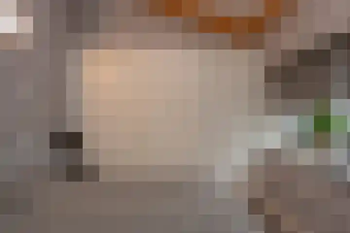 Broekerenk 26 't Loo Oldebroek thumbnail 44