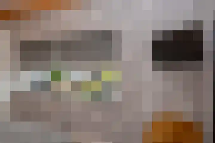 Broekerenk 26 't Loo Oldebroek thumbnail 45