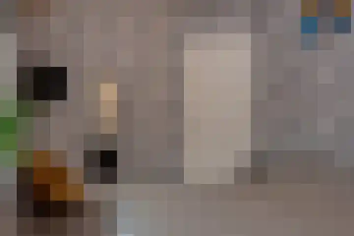 Broekerenk 26 't Loo Oldebroek thumbnail 46