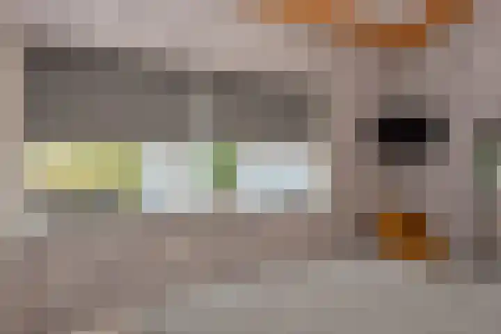 Broekerenk 26 't Loo Oldebroek thumbnail 47