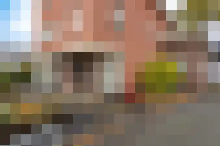Broekerenk 26 't Loo Oldebroek thumbnail 5