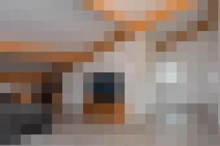 Broekerenk 26 't Loo Oldebroek thumbnail 50