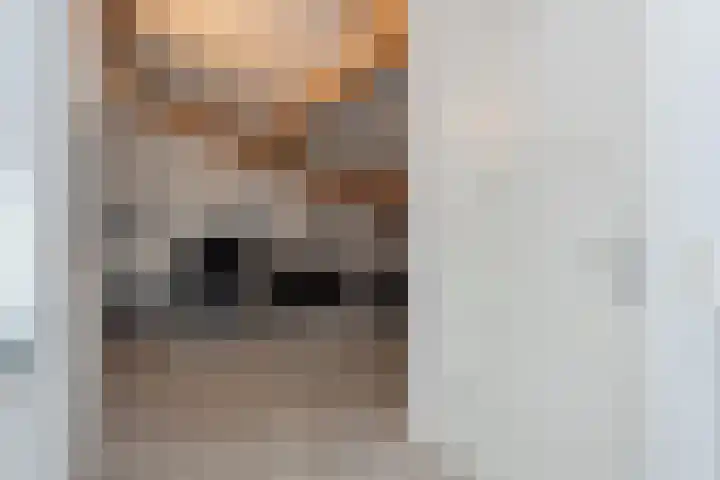 Broekerenk 26 't Loo Oldebroek thumbnail 51