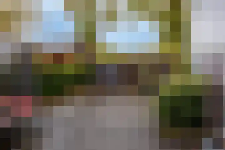 Broekerenk 26 't Loo Oldebroek thumbnail 53