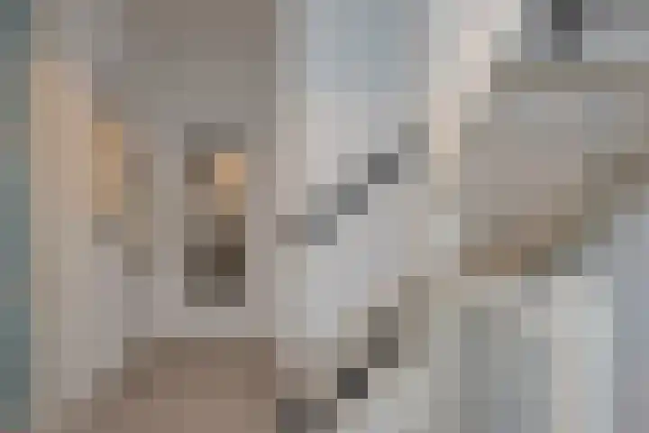 Broekerenk 26 't Loo Oldebroek thumbnail 7