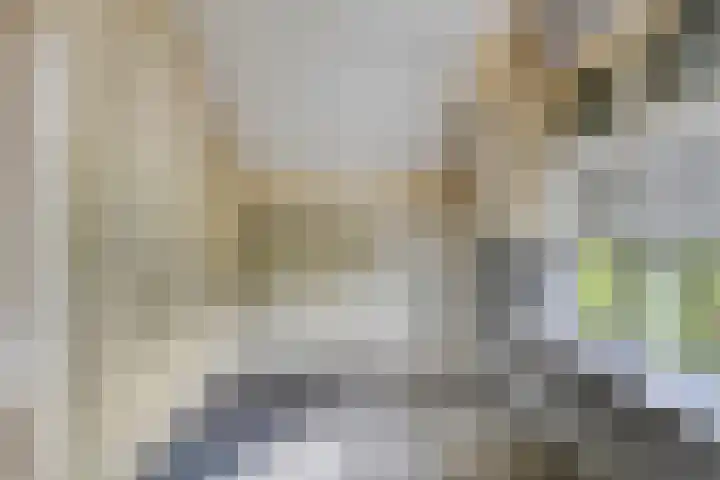 Broekergouw 10 Amsterdam thumbnail 20
