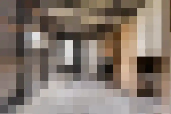 Broekergouw 10 Amsterdam thumbnail 35
