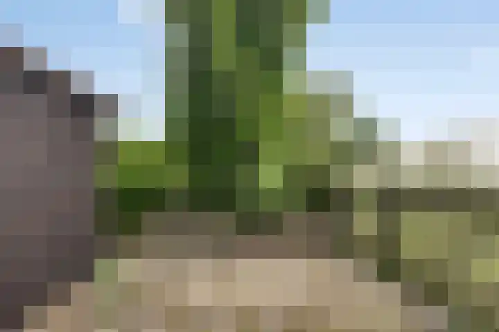 Broekergouw 10 Amsterdam thumbnail 37