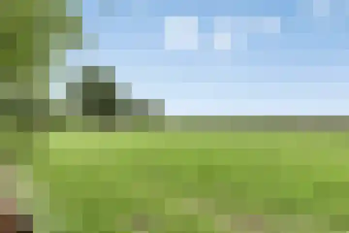 Broekergouw 10 Amsterdam thumbnail 4