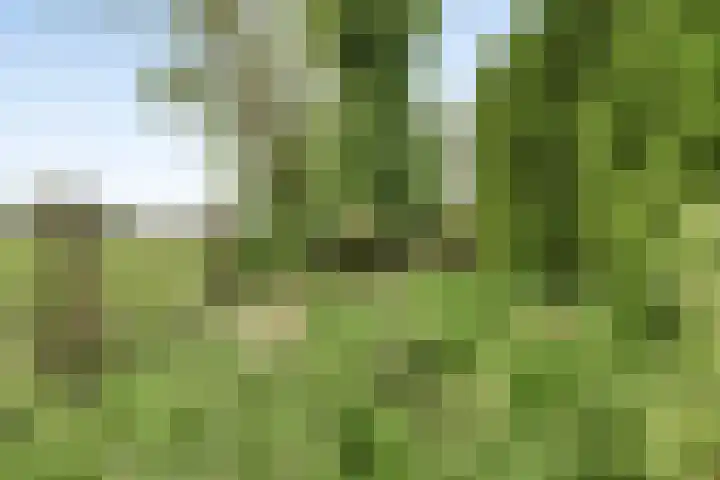 Broekergouw 10 Amsterdam thumbnail 42