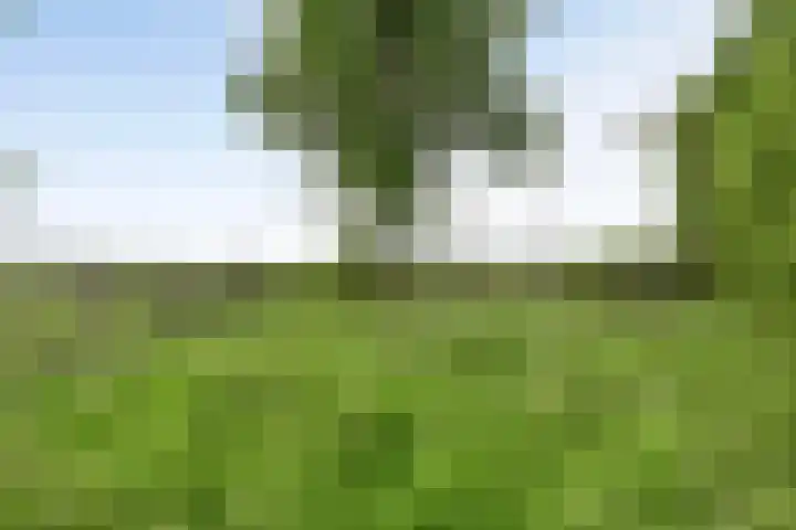 Broekergouw 10 Amsterdam thumbnail 43