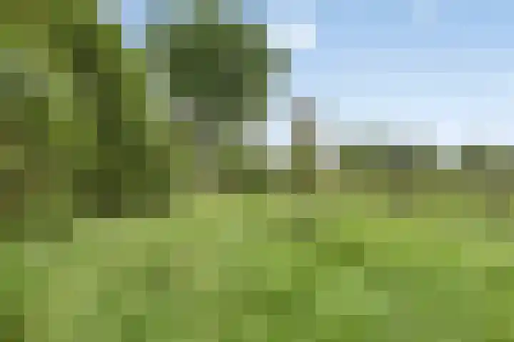 Broekergouw 10 Amsterdam thumbnail 44