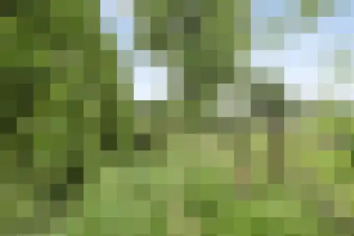 Broekergouw 10 Amsterdam thumbnail 45