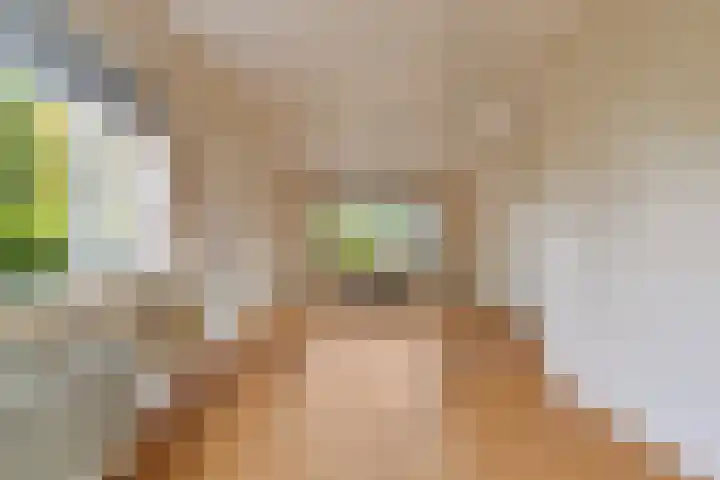 Broekergouw 10 Amsterdam thumbnail 7