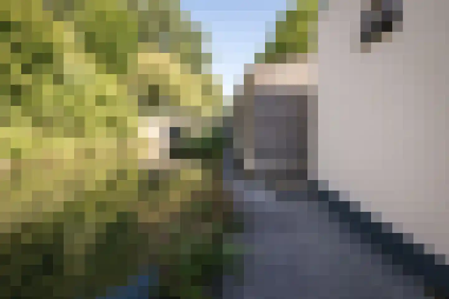 Broekerhavenweg 200 b Bovenkarspel thumbnail 36
