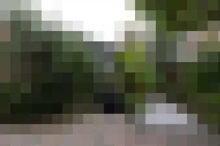 Broekerhavenweg 22 Bovenkarspel thumbnail 47