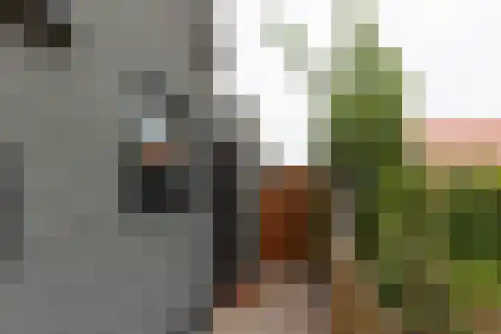 Broekerhavenweg 22 Bovenkarspel thumbnail 5