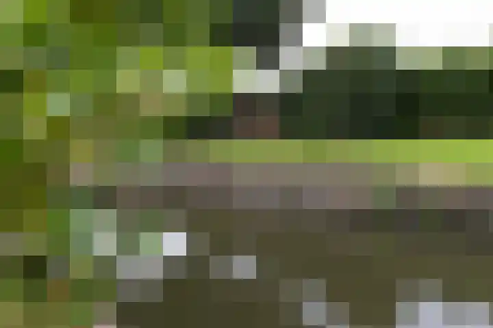 Broekerhavenweg 22 Bovenkarspel thumbnail 51