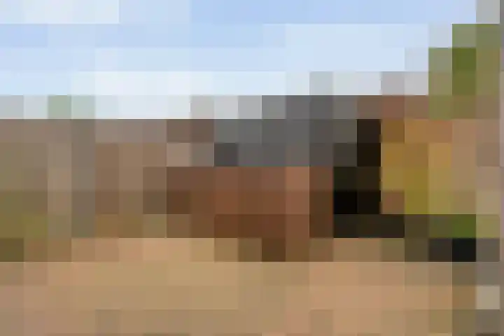 Broekerheide 25 Almelo thumbnail 25