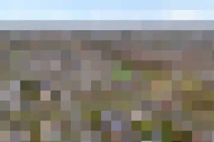 Broekerheide 25 Almelo thumbnail 27