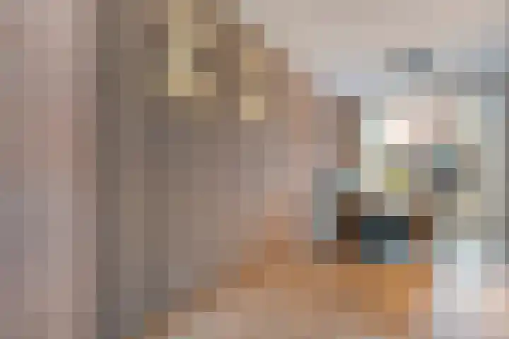Broekerheide 25 Almelo thumbnail 8