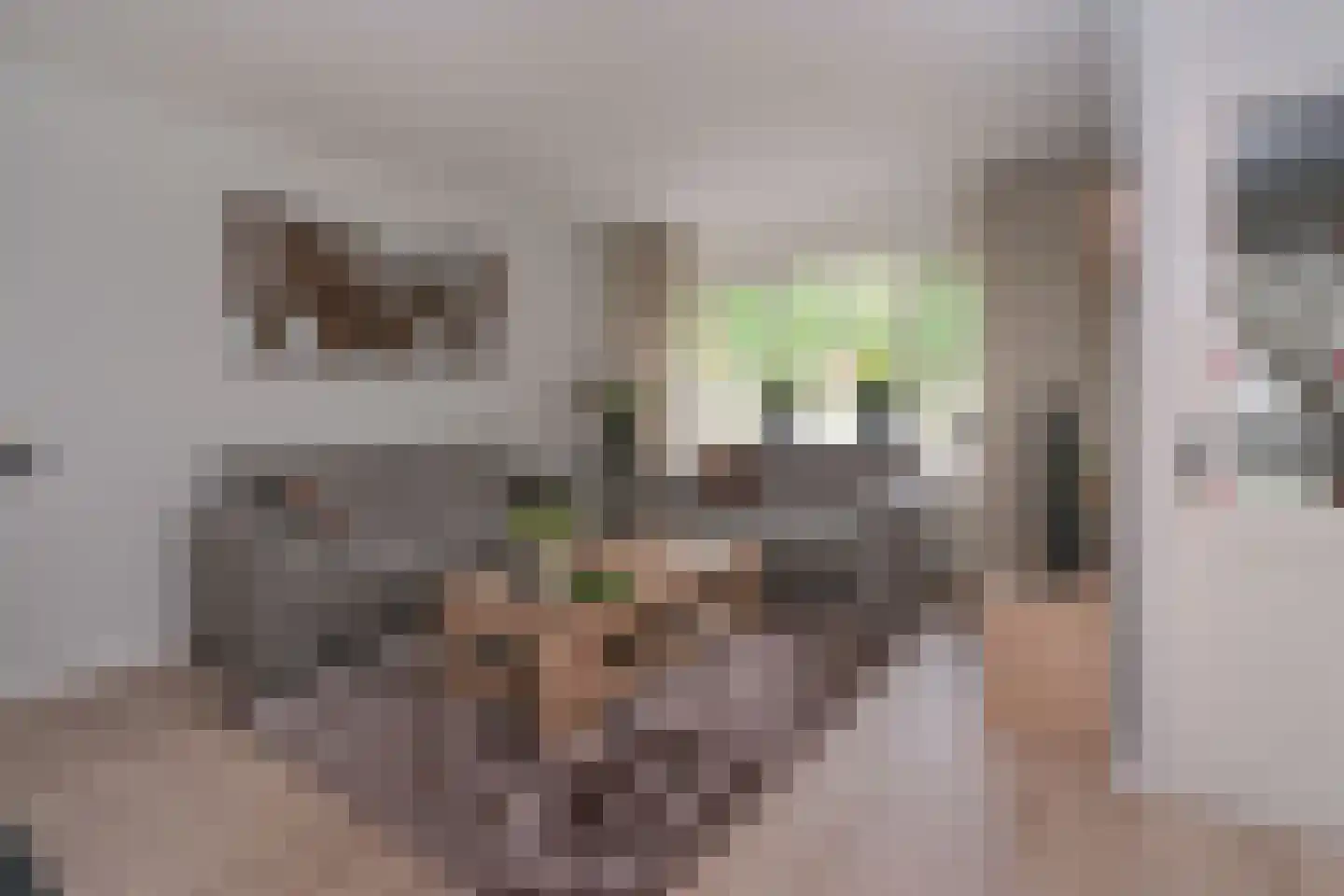 Broekerheide 40 Almelo thumbnail 5
