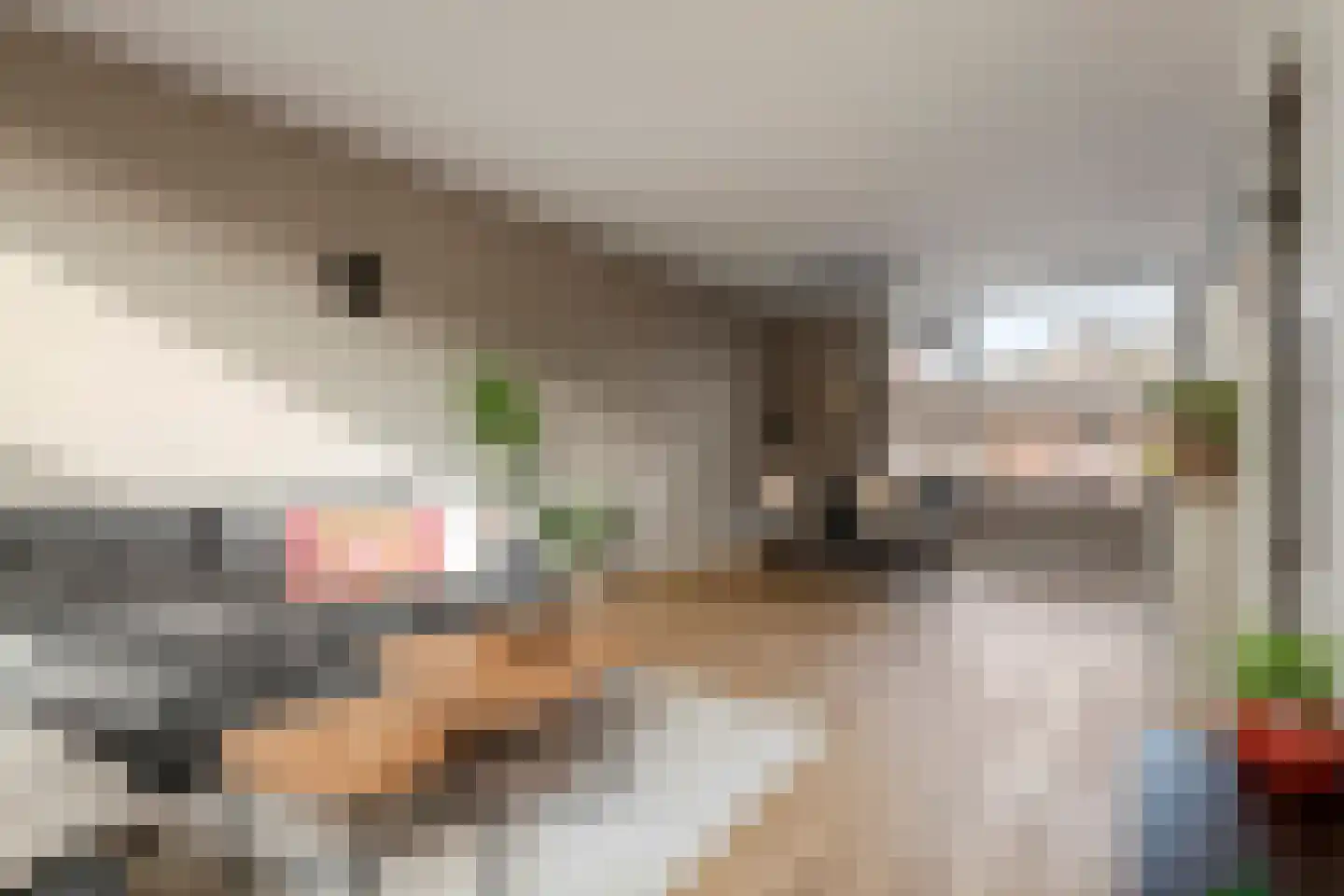 Broekerlaan 33 Scherpenzeel thumbnail 10