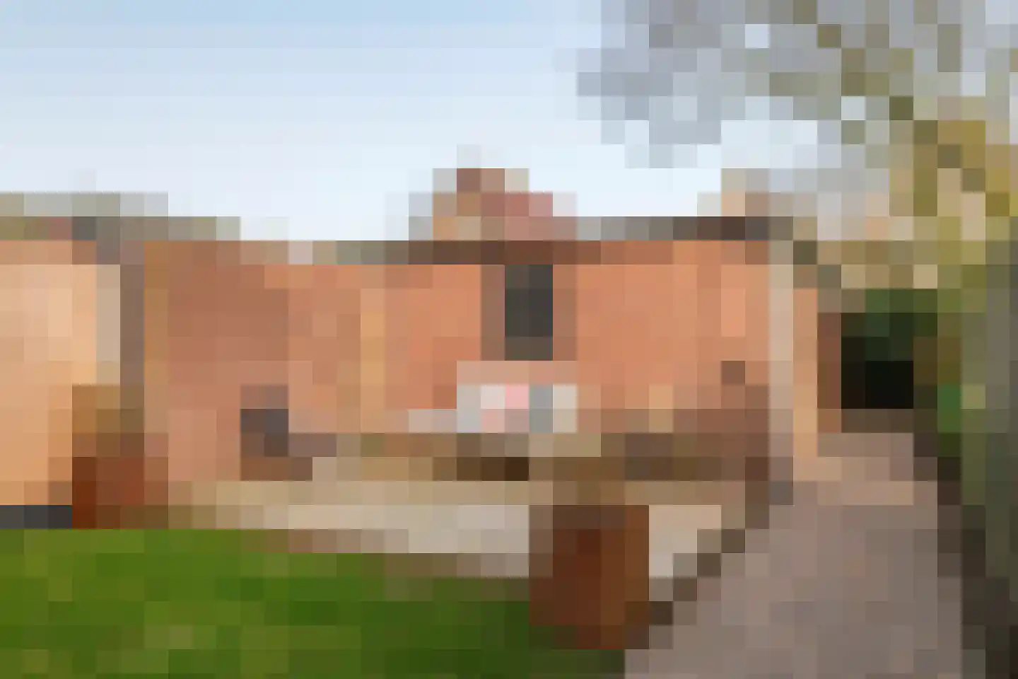 Broekerlaan 33 Scherpenzeel thumbnail 19