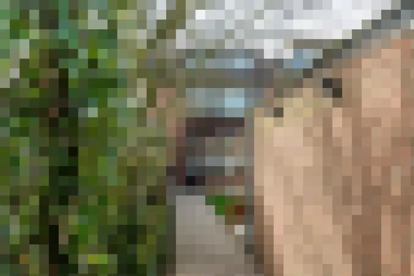 Broekerlaan 33 Scherpenzeel thumbnail 24