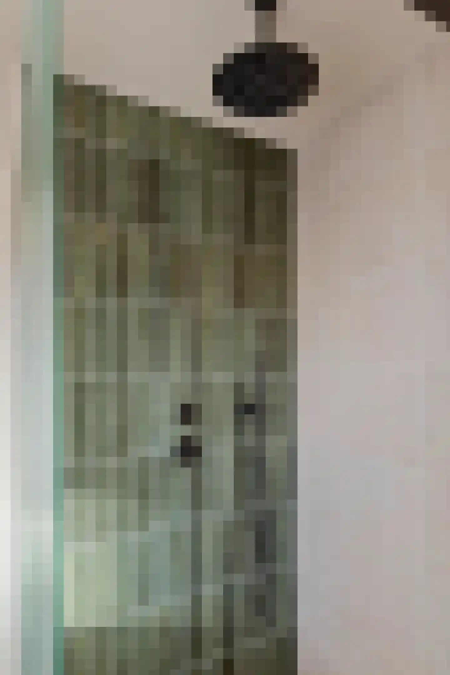 Broekerlaan 33 Scherpenzeel thumbnail 33